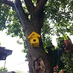 Hedgehog's - Jezeva Kucica Free Parking アパート *