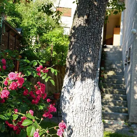 Hedgehog's - Jezeva Kucica Free Parking Appartement *