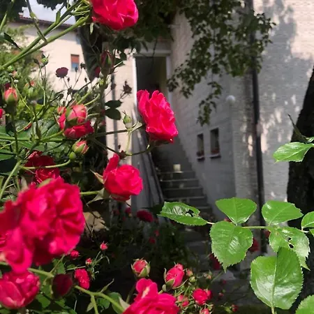 Apartamento Hedgehog's - Jezeva Kucica Free Parking *