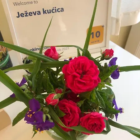 Hedgehog's - Jezeva Kucica Free Parking Apartamento *