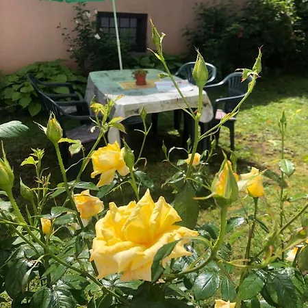 Apartamento Hedgehog's - Jezeva Kucica Free Parking