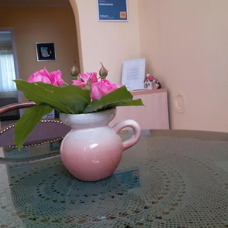 Hedgehog's - Jezeva Kucica Free Parking Saraievo