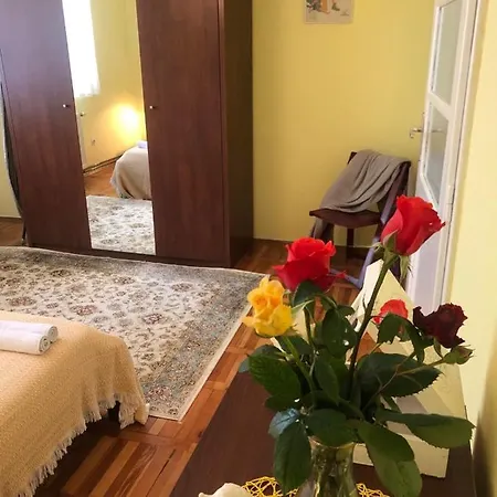 Hedgehog's - Jezeva Kucica Free Parking *