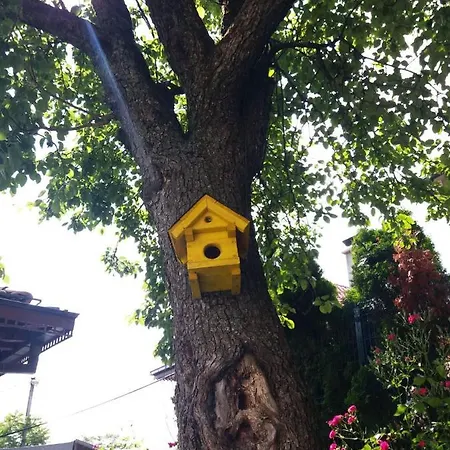 Hedgehog's - Jezeva Kucica Free Parking Appartamento *