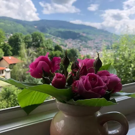 Hedgehog's - Jezeva Kucica Free Parking Apartamento Saraievo