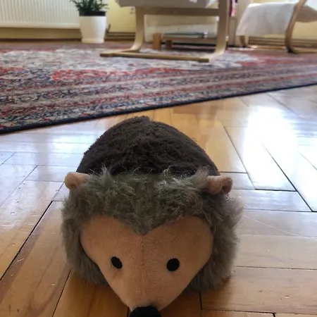 Hedgehog's - Jezeva Kucica Free Parking Sarajevo