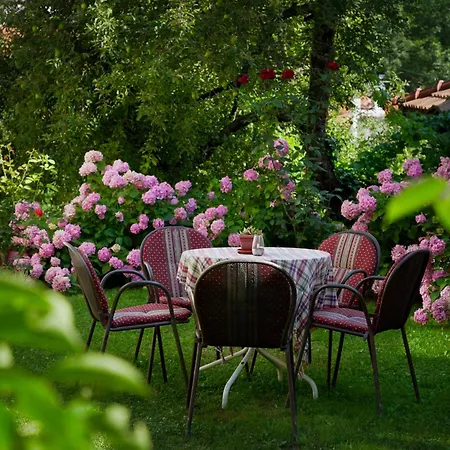 Hedgehog's - Jezeva Kucica Free Parking * Saraievo