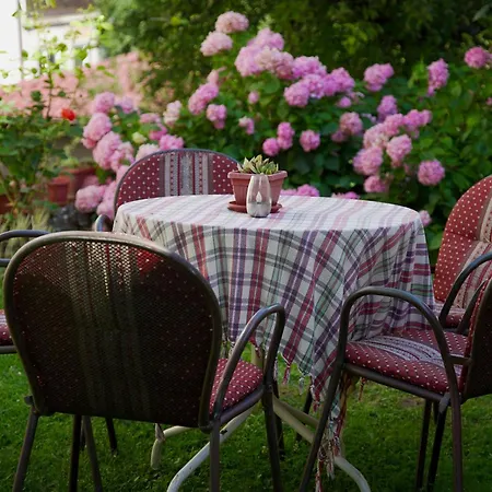 Apartamento Hedgehog's - Jezeva Kucica Free Parking *